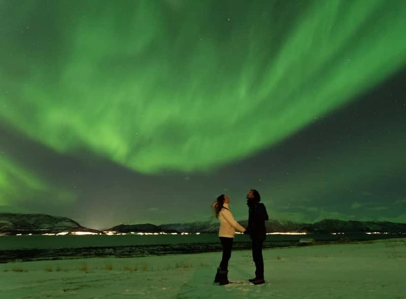Tromsø: Aurora Safari Chase by big bus with Camp meal - Key points at a glance