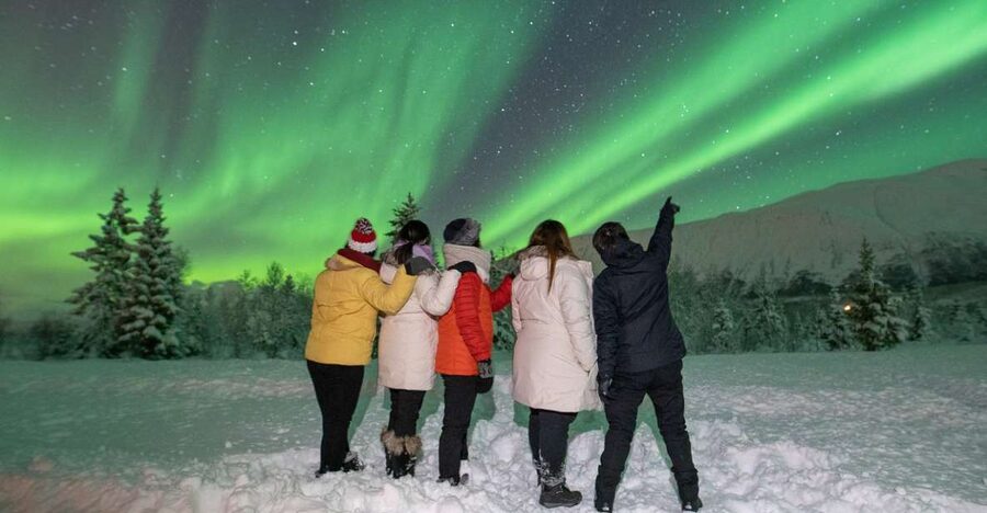 Tromsø: Aurora Safari Chase by big bus with Camp meal - Who will enjoy this Tromsø night tour?