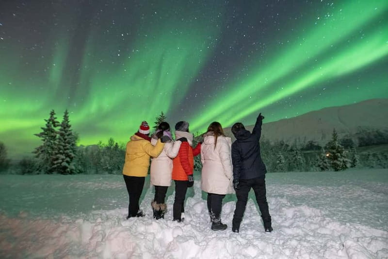 Tromsø: Aurora Safari Chase by big bus with Camp meal - Chasing clear skies from Tromsø
