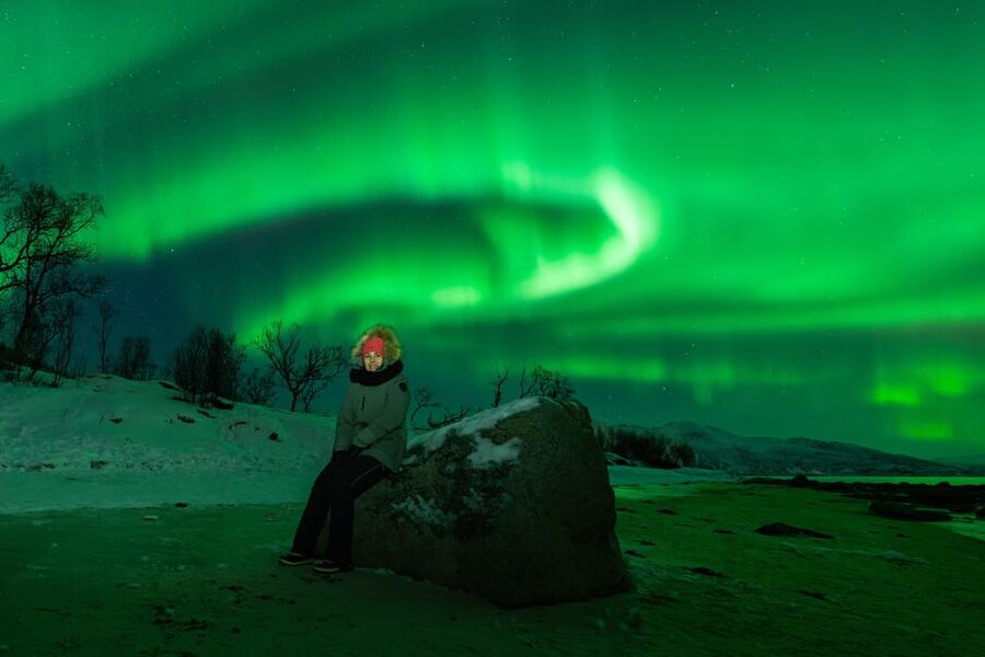 Tromsø: Aurora Tour with Photos, Campfire and Arctic Food - The campfire meal: reindeer, vegan options, and chai