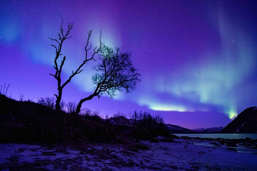 Tromsø: Aurora Tour with Photos, Campfire and Arctic Food - Staying warm in Tromsø’s winter darkness