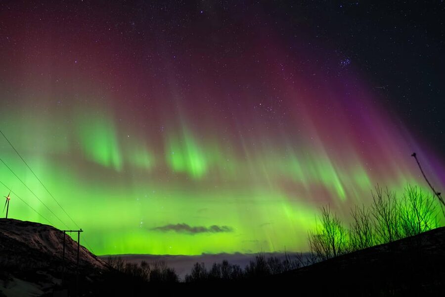 Tromsø: Aurora Tour with Photos, Campfire and Arctic Food - How much value do you get for $304?