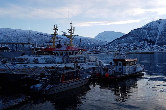 Tromsø City Walk - Who will enjoy this Tromsø introduction?