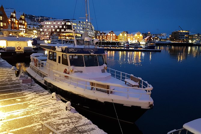 Tromsø City Walk - A private walk with Karina or Kira