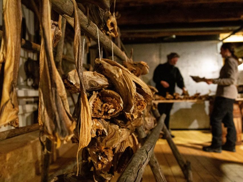 Tromso: Cod-Tasting Tour with Full Steam Museum Entry - Tromsø’s maritime past on the fourth floor