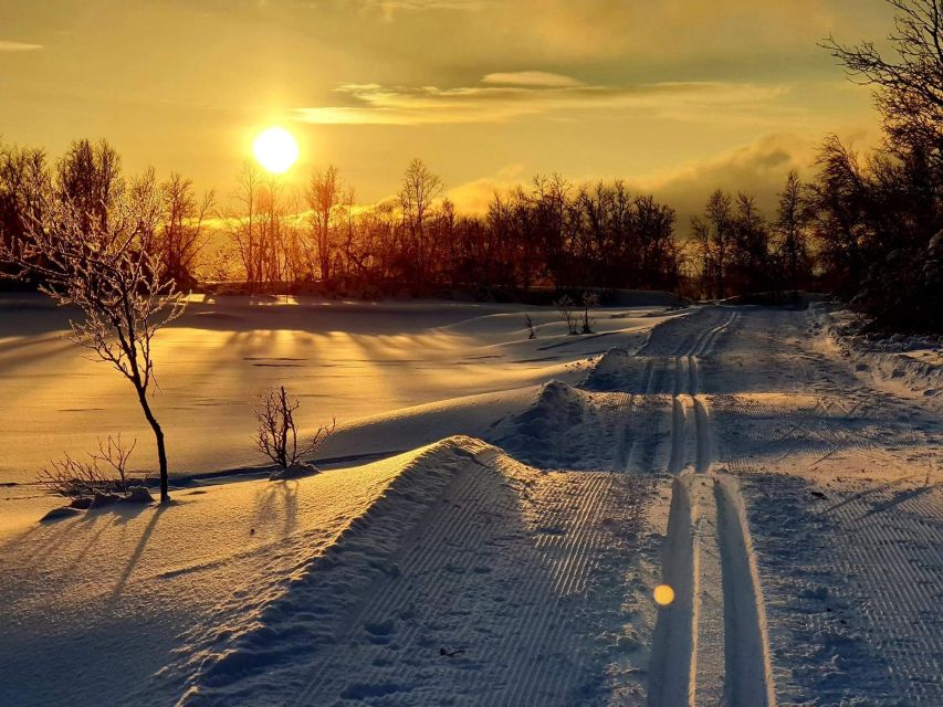 Tromsø: Cross Country Guided Skiing Course - Key points before you book