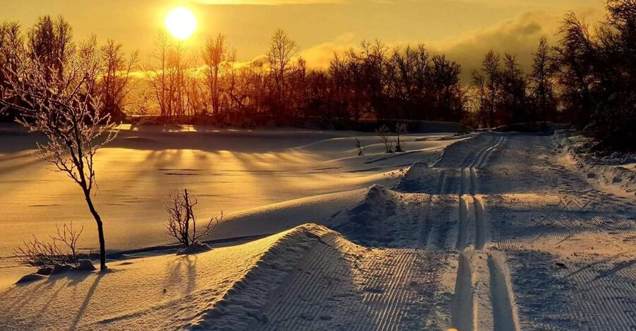 Tromsø: Cross Country Guided Skiing Course - Who should book this course?