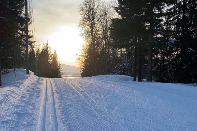 Tromsø Cross-Country Ski Adventure - Key points to know before booking