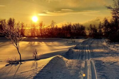 Tromsø Cross-Country Ski Adventure