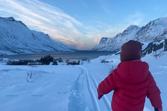 Tromsø Cross-Country Ski Adventure - Skiing through forest, hills, and open views