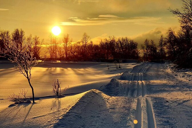 Tromsø Cross-Country Ski Adventure - Arriving at Charlottenlund Recreational Park