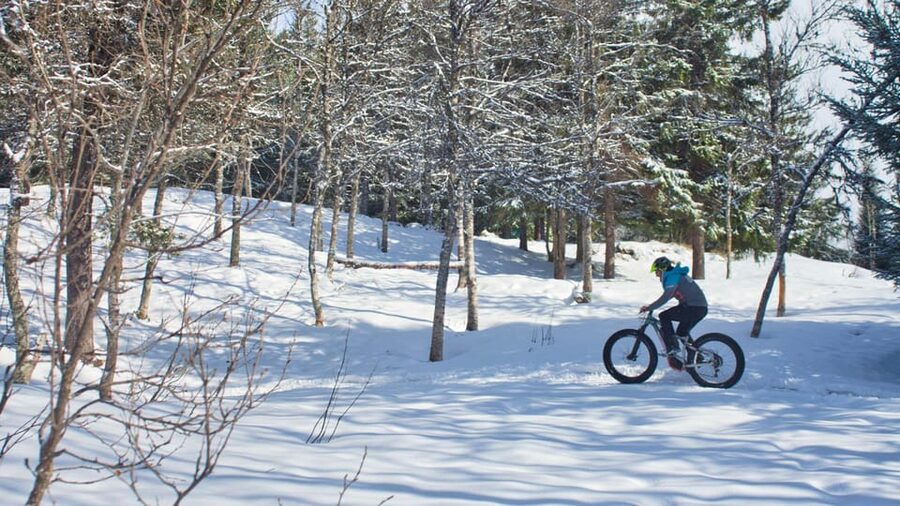 Tromsø: Electric fatbike trip on winter paths - Riding from Tromsø into Tromsømarka