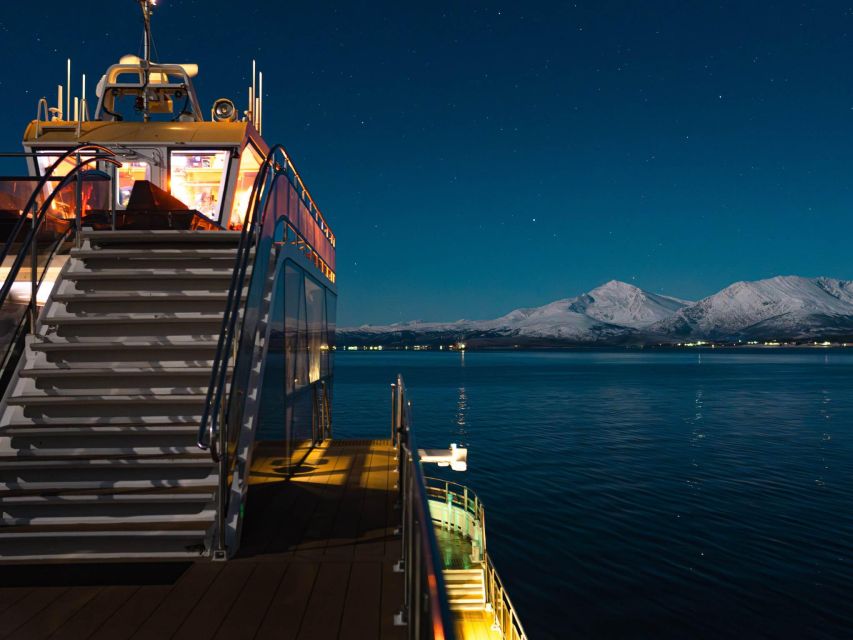 Tromsø: Electric Northern Lights Cruise - Who will enjoy this cruise most?