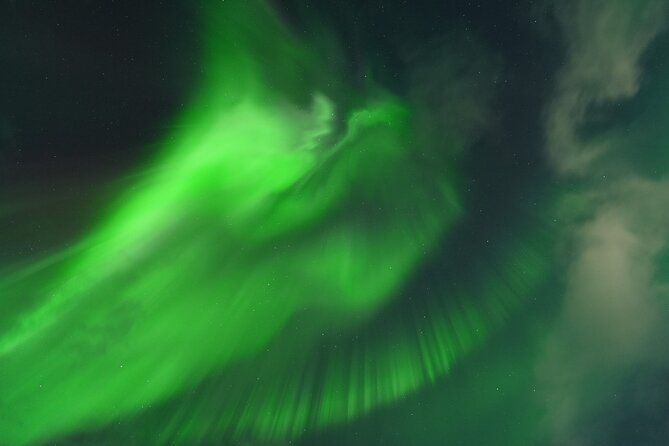 Tromsø: English/Spanish Aurora Pathfinder Tour with Photos - Key points to know before booking