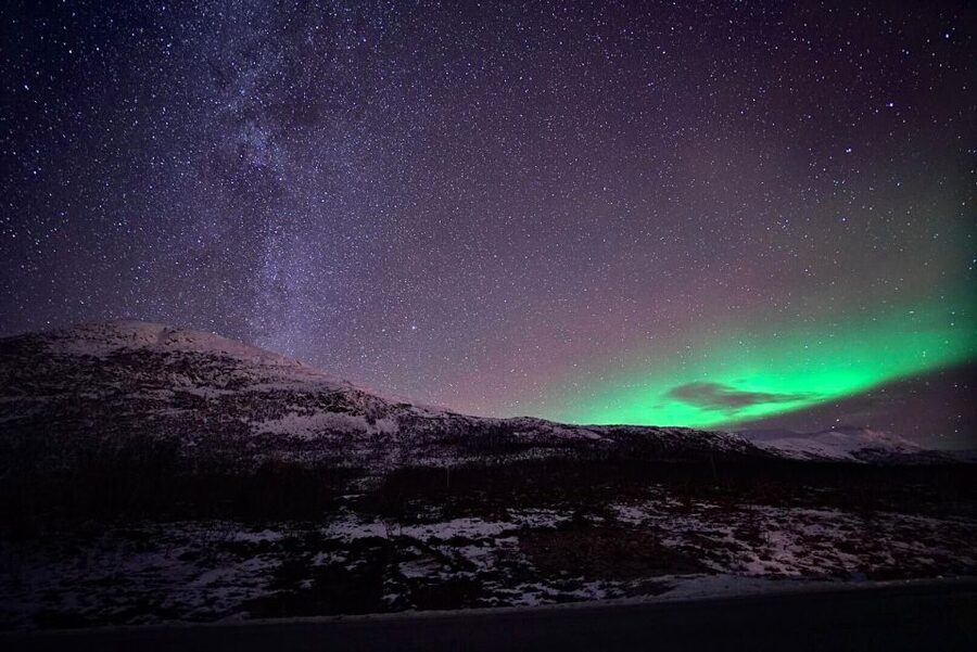 Tromsø: Evening Aurora Cruise (dinner optional) - Key things to know before sailing
