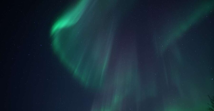 Tromsø: Evening Aurora Cruise (dinner optional) - The heated cabin is your best friend