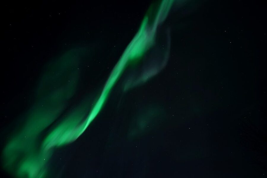 Tromsø: Evening Aurora Cruise (dinner optional) - Thirty minutes across the Arctic sea