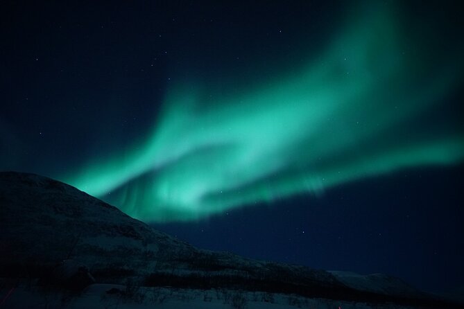 Tromsø: Evening Cruise with Northern Lights Opportunity - Key points to know before you book