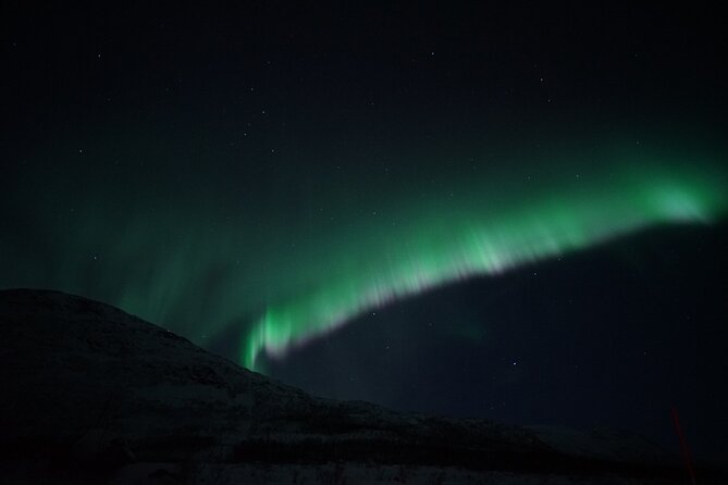 Tromsø: Evening Cruise with Northern Lights Opportunity - A practical 8 p.m. start from central Tromsø