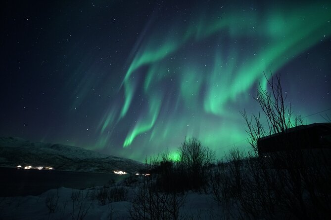 Tromsø: Evening Cruise with Northern Lights Opportunity - What happens when clouds block the sky