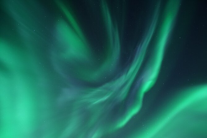 Tromsø: Evening Cruise with Northern Lights Opportunity - The boat experience, with its good and bad sides