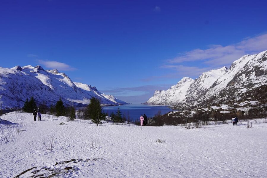 Tromsø: Exclusive Fjord Adventure by Bus - Meeting in Tromsø at 10am