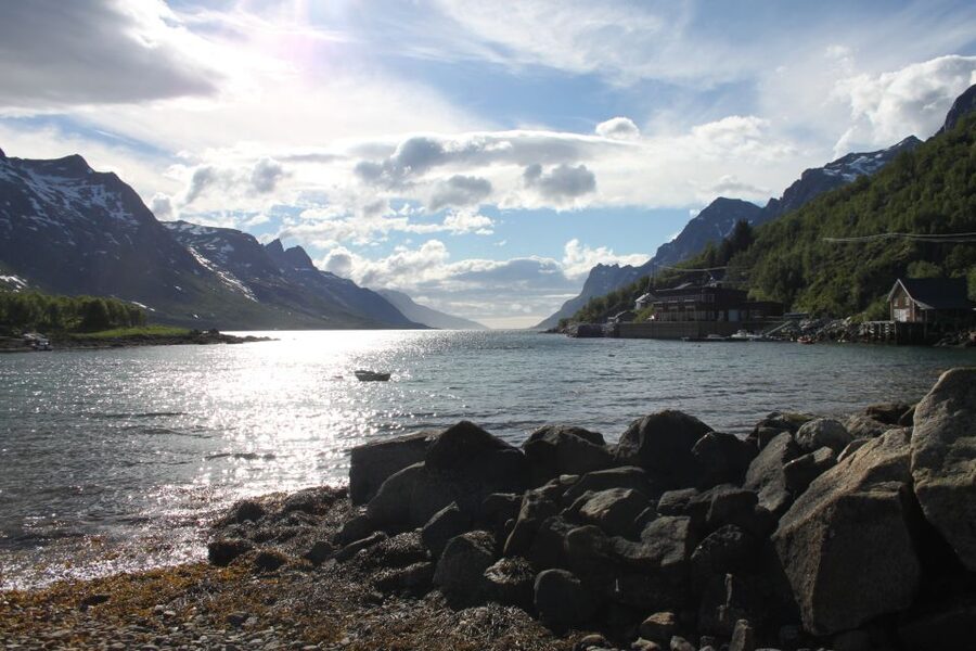 Tromsø: Exclusive Fjord Adventure by Bus - Reindeer, birds, and the limits of wildlife