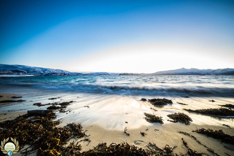 Tromsø: Exclusive Fjord Adventure by Bus - Is $68 a fair price?