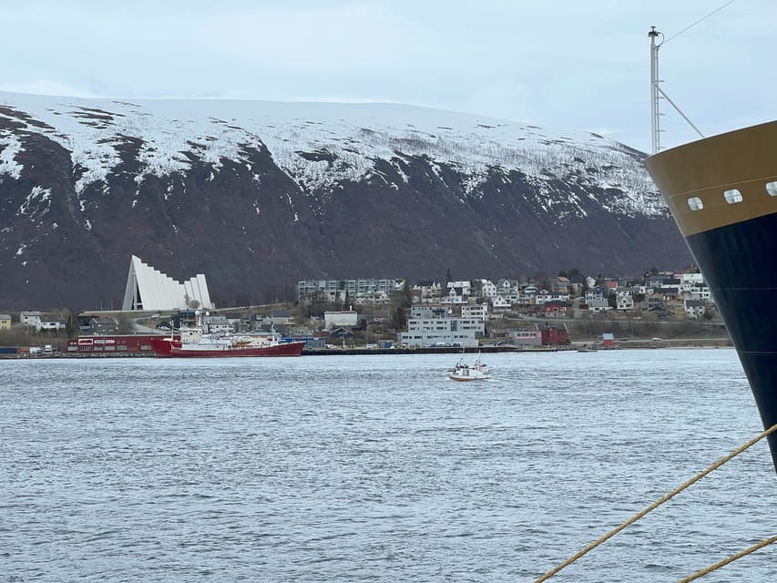 TROMSØ: Explore The City And a Guided Tour Of PolarMuseum! - Walking Toward Skansen And The Port
