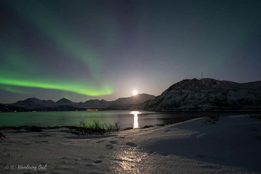 Tromsø: Express Aurora Hunt - Waiting with tea, coffee, and homemade biscuits