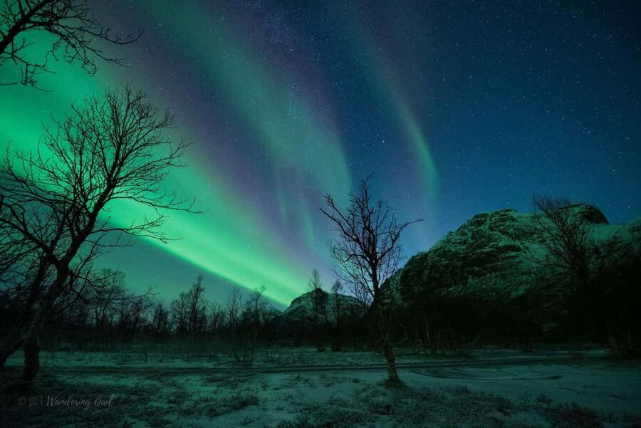 Tromsø: Express Aurora Hunt - How good are your northern lights chances?