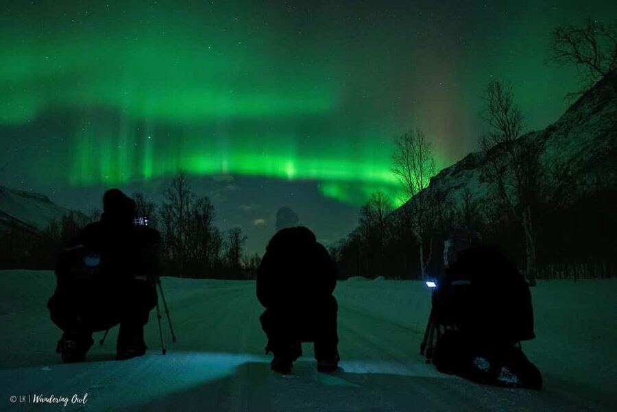 Tromsø: Express Aurora Hunt - Who will enjoy this express format?