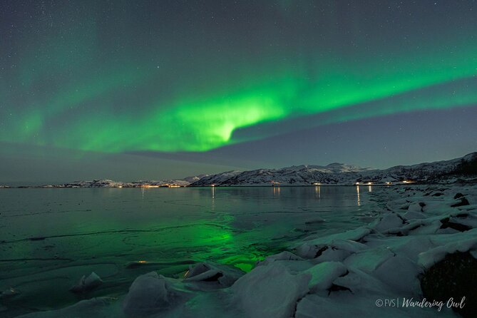 Tromsø: Express Aurora Hunt with Wandering Owl - What happens when the sky refuses to cooperate