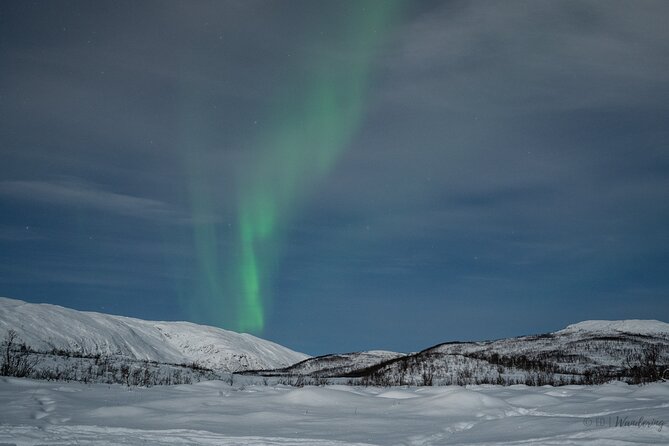 Tromsø: Express Aurora Hunt with Wandering Owl - The photo question: useful memory, extra expense