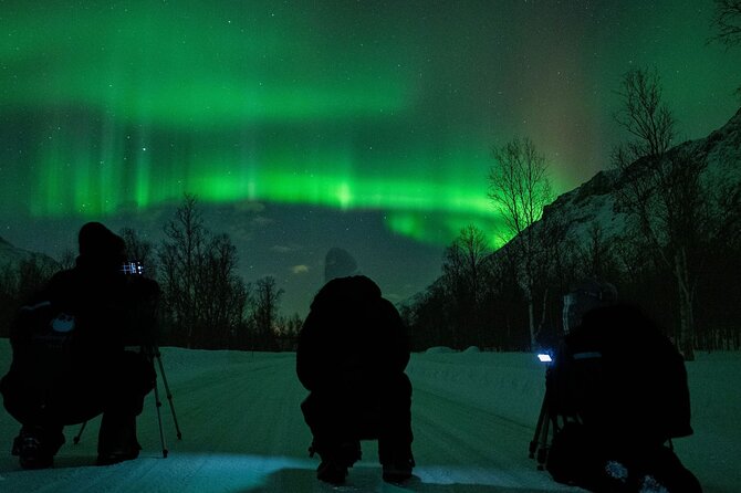 Tromsø: Express Aurora Hunt with Wandering Owl - Meeting at Scandic Ishavshotel and getting on the road