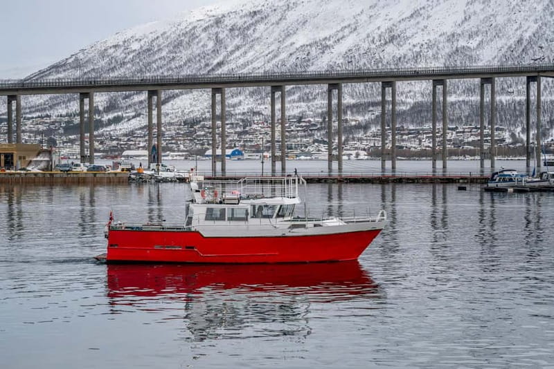 Tromsø: Fishing Sea Safari - Six details that shape the trip