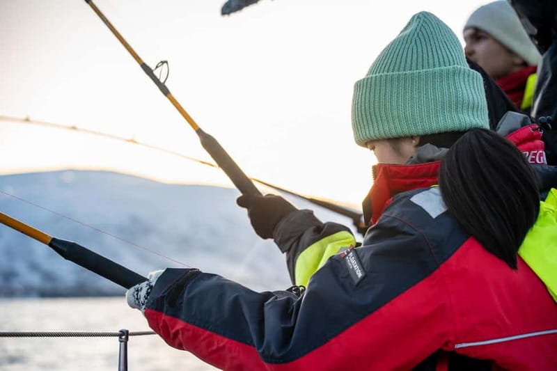 Tromsø: Fishing Sea Safari - Starting on Killengreens gate 7-11