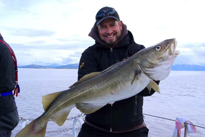 Tromsø: Fishing Sea Safari - Friendly guides make the small boat work