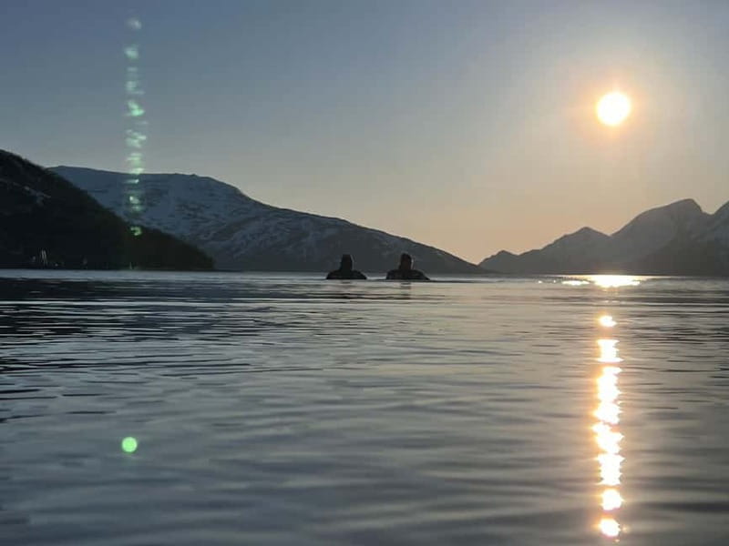Tromsø: Fjord and Floating Safari, Arctic Floating - Wildlife, berries, and photo stops around Tromsø