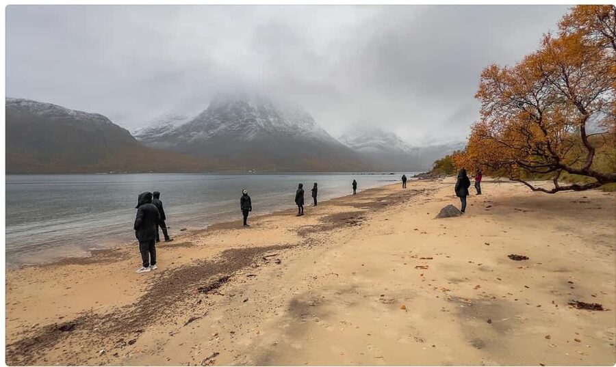 Tromso: Fjord Arctic Adventure Expedition - Reindeer, sea eagles, and the luck factor