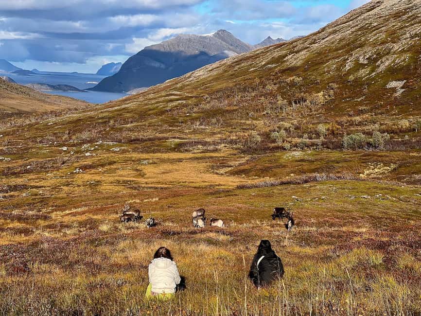 Tromso: Fjord Arctic Adventure Expedition - Who should book this Tromsø outing?