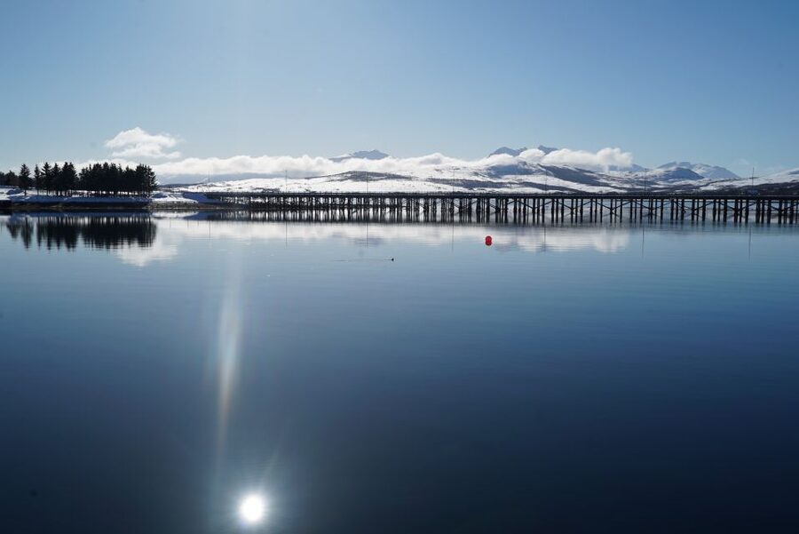 Tromsø: Fjord Cruise by Luxury Yacht - Håkøya and the First Big Views