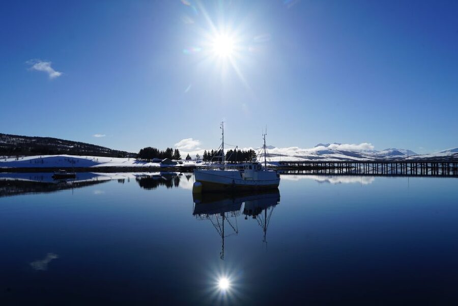 Tromsø: Fjord Cruise by Luxury Yacht - Grindøya and the Mountains Facing the Norwegian Sea