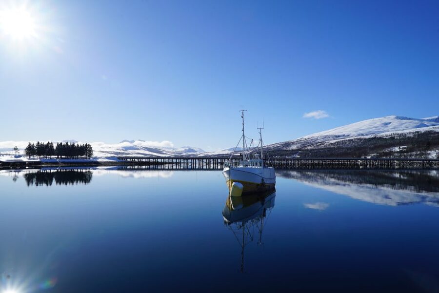 Tromsø: Fjord Cruise by Luxury Yacht - Fishing, Steering, and Family Appeal