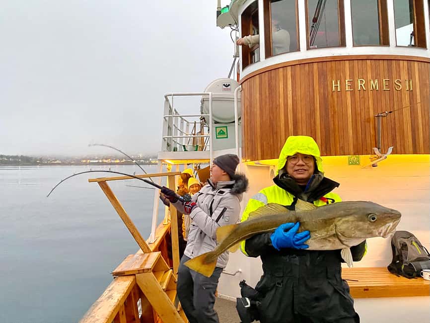Tromsø: Fjord Fishing Cruise - Fishing with five rods and shared turns