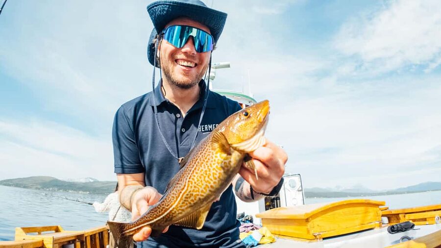 Tromsø: Fjord Fishing Cruise - Wildlife can add an unexpected bonus