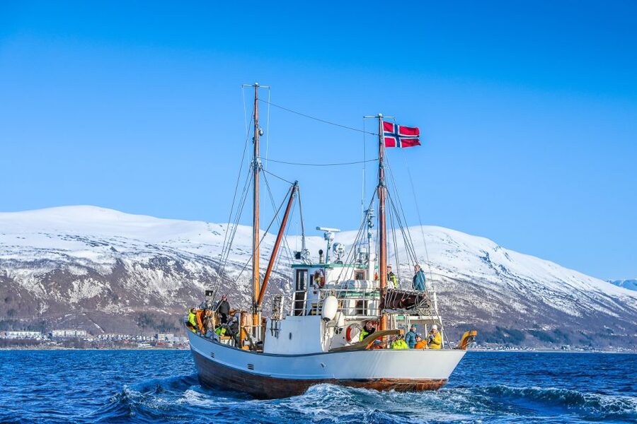 Tromsø: Fjord History Cruise with Snack and Drinks - Is $156 good value for 2.5 hours?