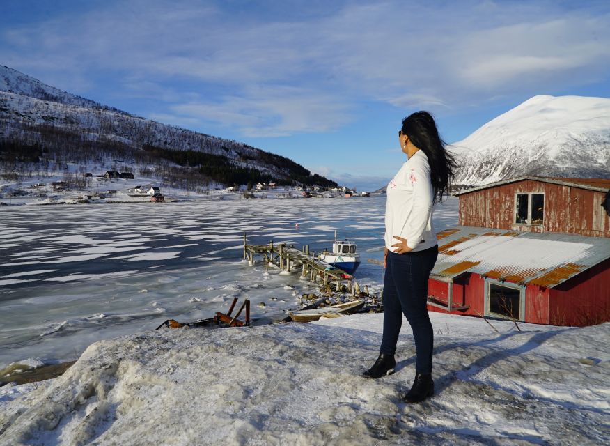 Tromsø: Fjord Sightseeing in a Tesla X Luxury Electric Car - Ersfjord and the café pause