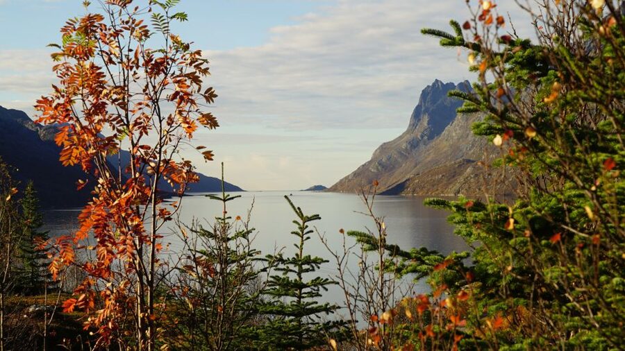 Tromsø: Fjord Sightseeing in a Tesla X Luxury Electric Car - Grøtfjord and the final stretch