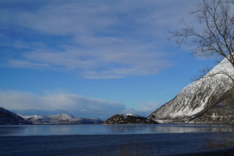 Tromsø: Fjord Sightseeing in a Tesla X Luxury Electric Car - A guide can make or break the morning